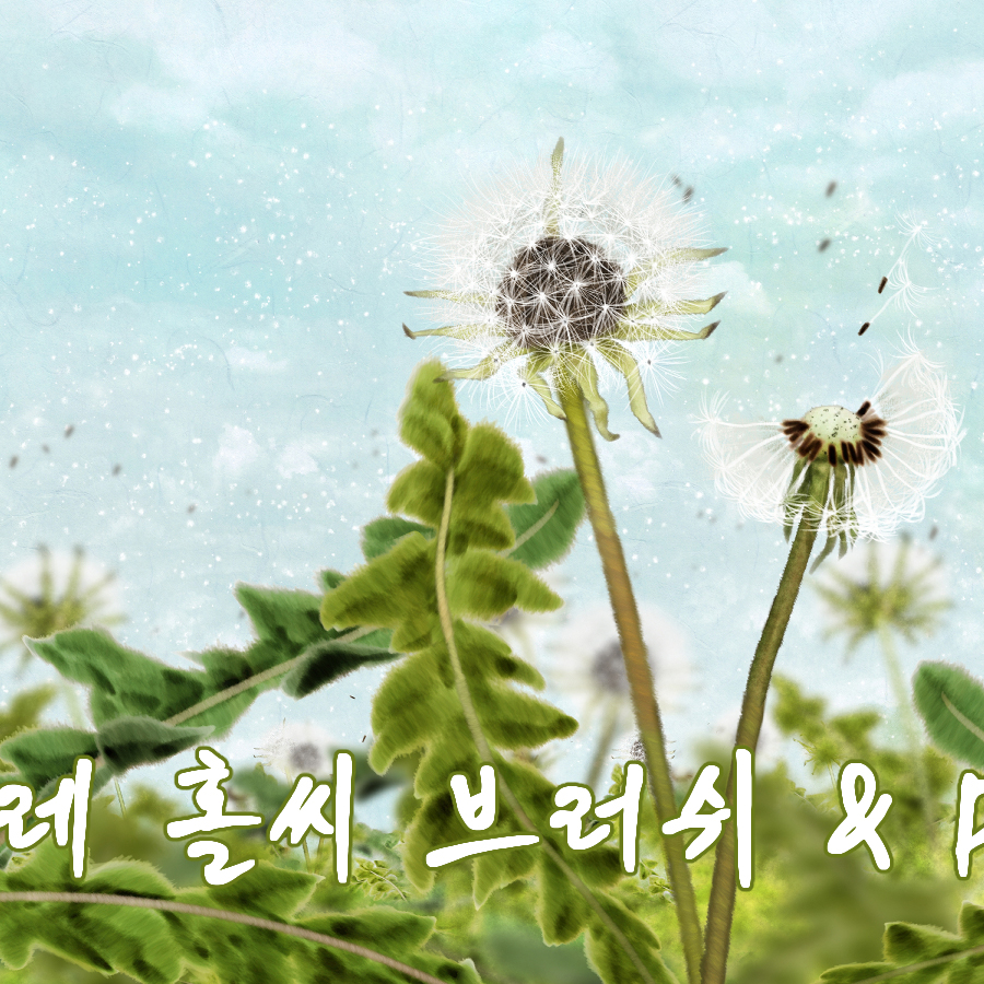 민들레 홀씨 브러쉬 & PNG